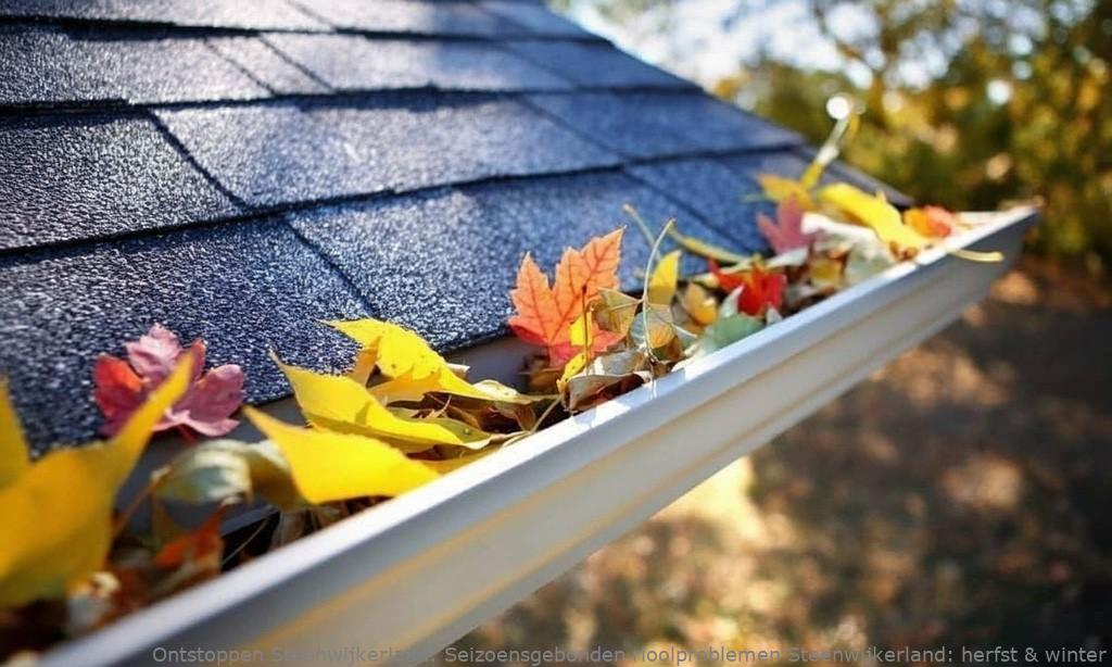 Seizoensgebonden rioolproblemen Steenwijkerland: herfst & winter